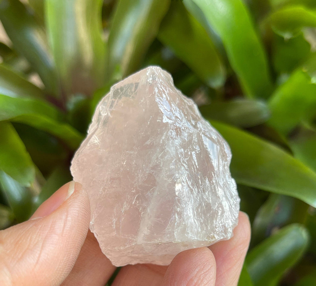 Rose Quartz Crystal